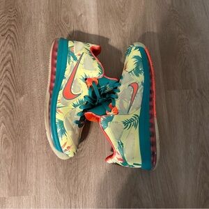 Dead Stock Lebron 9 Low Lebronald Palmer